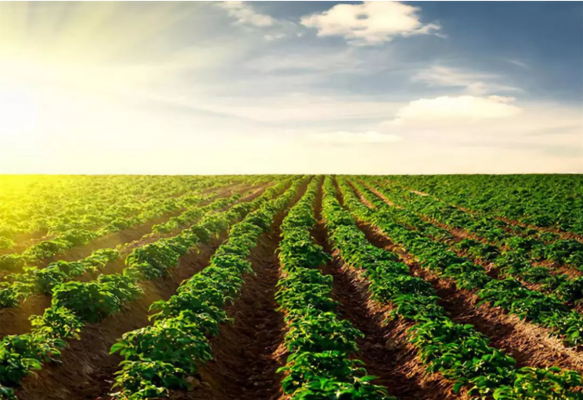 解析：有机农业、生态农业的区别和联系