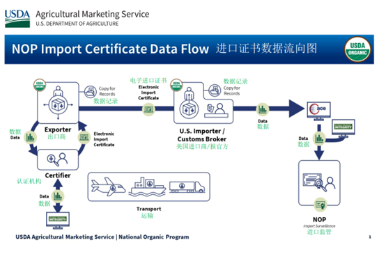 进口证书数据流向同.png
